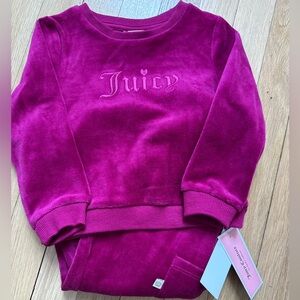 Juicy Couture Toddler Pink Velour Set